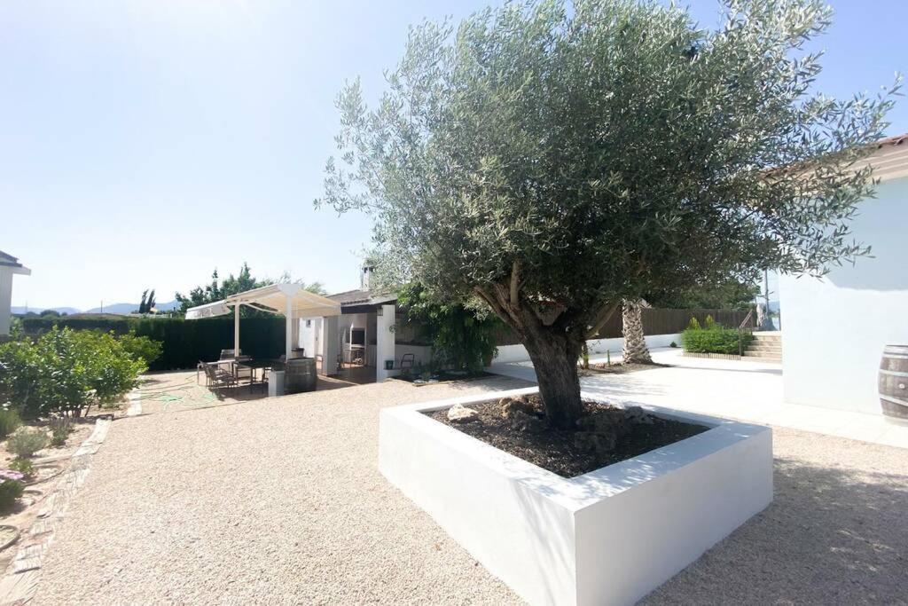 Relax En La Huerta De Murcia Dış mekan fotoğraf