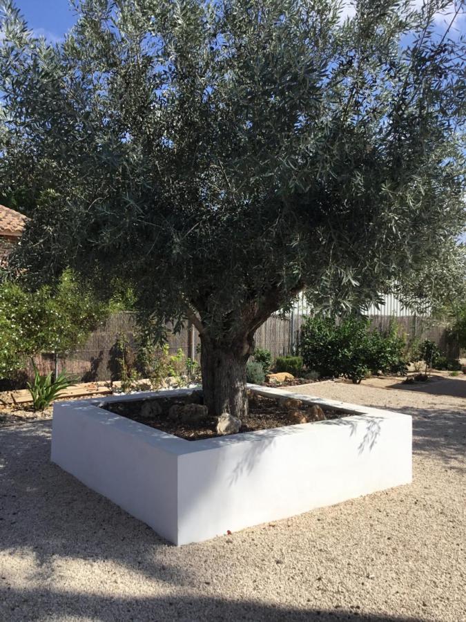 Relax En La Huerta De Murcia Dış mekan fotoğraf